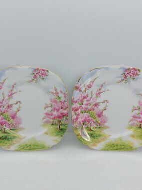 2 Vintage Royal Albert Blossom Time 6" Plates Bone China Made In England